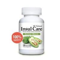 Insul Care Bitter Melon 120 Capsules 인슐케어 비터멜론